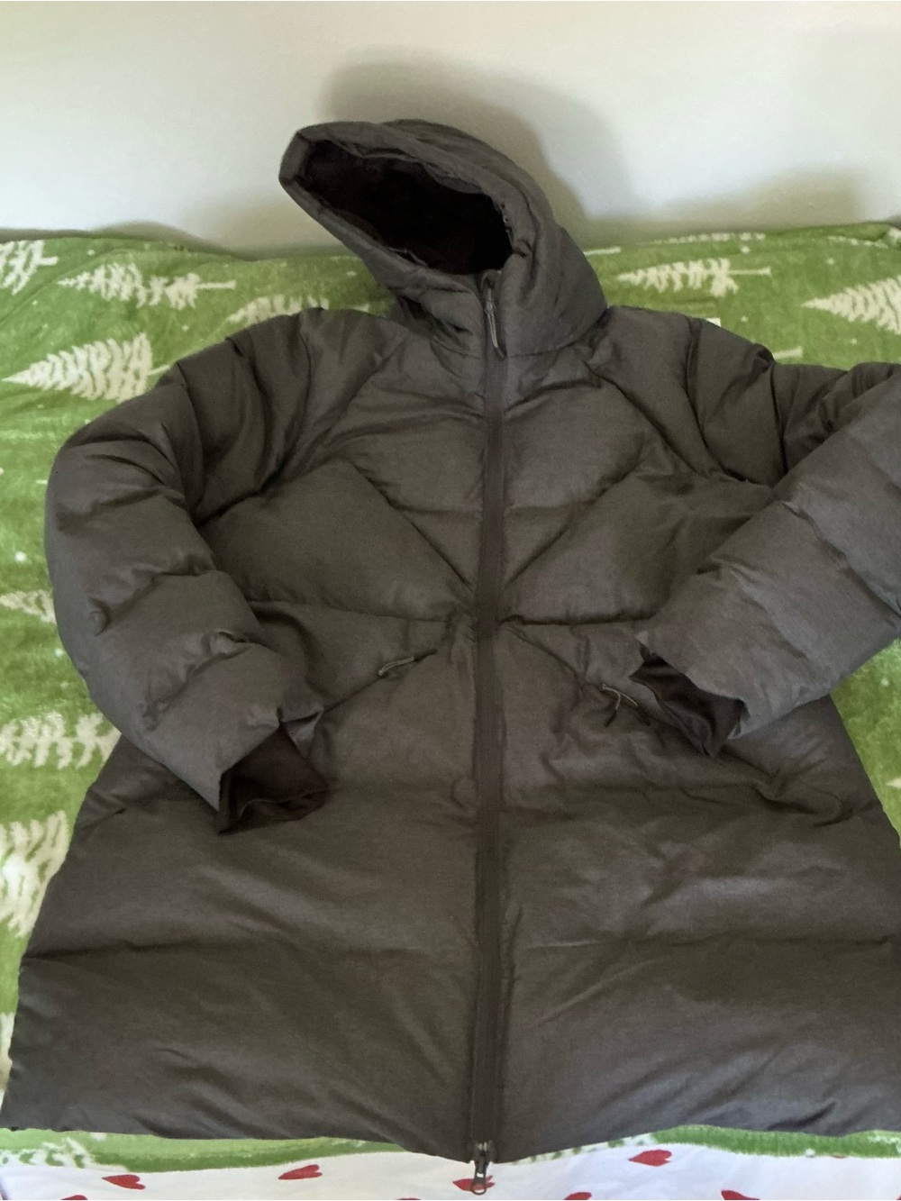 Champion Women's Hooded Puffer Coat in Dark Gray